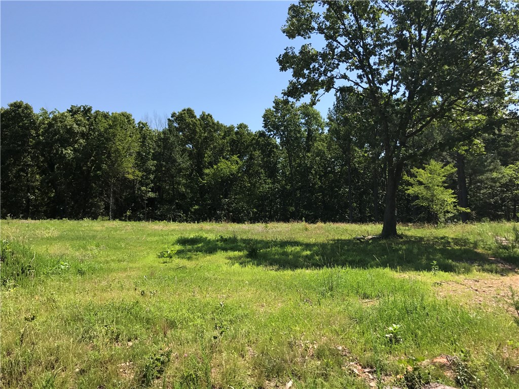 Large flat double corner lot, cleared and ready to build. Completed perk test and septic design plan, approved for 3 Br plus office. Septic location installation has been staked and wattles placed.  Seller has house plans available for a successful buyer for the house that was planned for this site.  Come build your dream home just minutes from Loch Lomond Boat Ramp off Stoneykirk and Branchwood Clubhouse. 12 minutes to Missouri corner of Forfar and Findhorn ( 2nd lot on Findhorn in back of forfar lot)