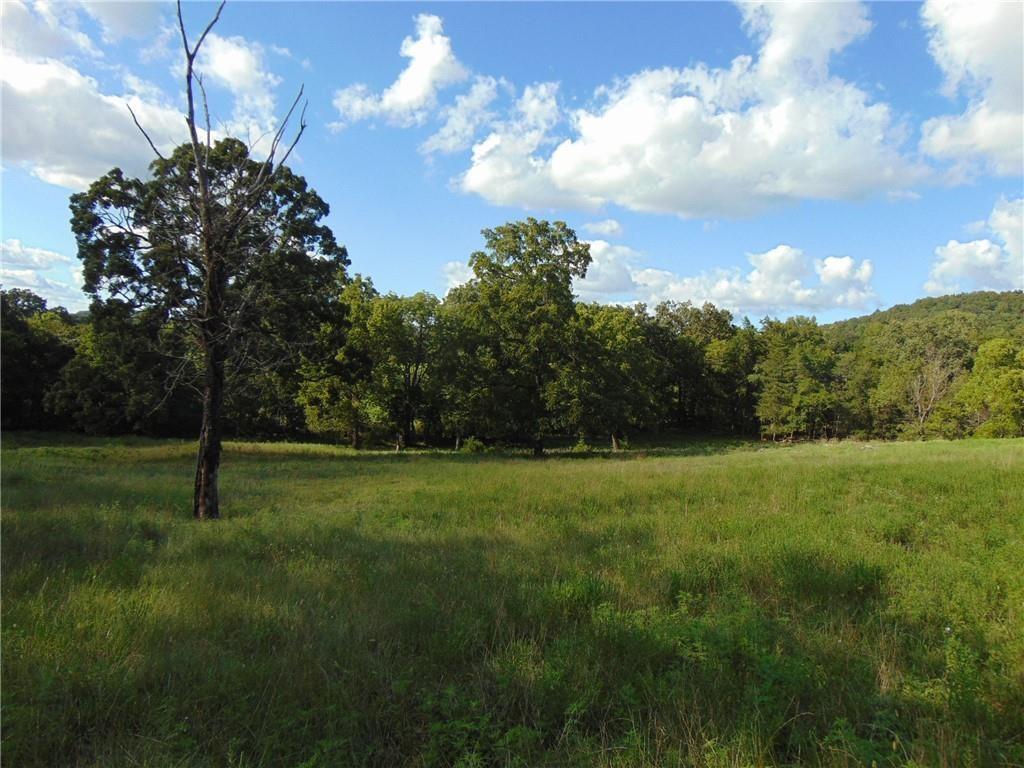 Beautiful 29.04 acres located just north of Berryville. No covenants! Private setting, rolling hills, and surrounded large by open pastures. Acreage sits just barely over a mile off of Hwy 21 N and is located on a well-maintained county road. Perimeter fenced with tight woven wire, and read for goats, sheep, cattle, horses, or any other livestock. Cross fenced to separate the approximately 9-acre hay field. Large pond already stocked with catfish. Recently surveyed.