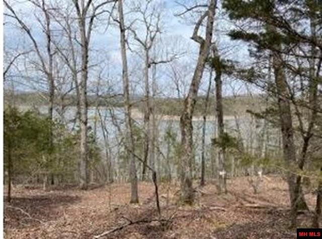 Exceptional Opportunity to Own 9.5 Acres m/l Near Bull Shoals Lake! Discover this rare chance to acquire approximately 9.5 acres m/l adjacent to Bull Shoals Lake, bordered by the government greenbelt area. Enjoy stunning views of the lake from this private location, which offers minimal neighboring properties and no restrictions—making it the perfect retreat! With convenient access to Bull Shoals Lake and just a 13minute drive to Pot Shoals & Frost Point public boat launch, this property combines tranquility with outdoor adventure. Don’t miss out on this unique opportunity!