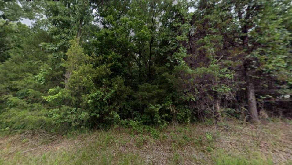 Ponderosa Addition - Land