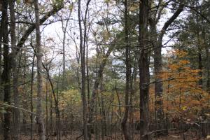 Great parcel of land with a winter view of Bull Shoals Lake. Priced to sell. Call Today!