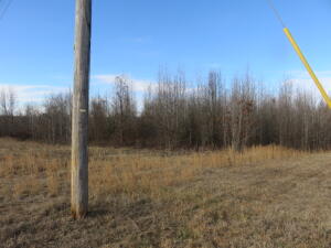 TREMENDOUS DEVELOPMENT OPPORTUNITY! Level acreage lies just off EXIT 57. Premier, level, building site. Zoned C-3.  Lot 27 lies behind Lot 28 & has a gravel road along the South side.