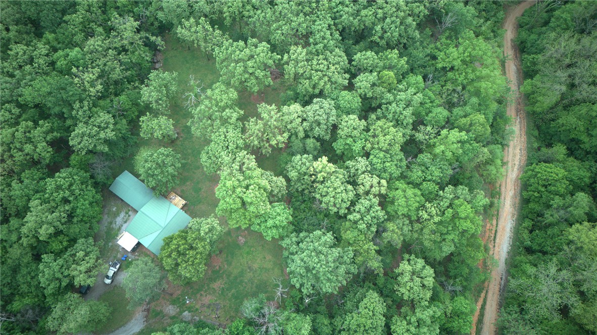 Nestled at the end of a quiet street in Gentry, this 1.33-acre wooded lot is your chance to own a private slice of the Ozarks. Whether you're planning a custom build or bringing in a manufactured home, the groundwork is already working in your favor — electricity is on site and Gentry public water runs along Dawn View Dr, available at the street. A septic system will be needed, as city sewer is not available. Surrounded by mature trees with no close neighbors in sight, the lot delivers that peaceful, tucked-away feel that's hard to find. A survey is on file, so you know exactly what you're getting. Minutes from City Lake Park, Lake Flint Creek, and nearby walking trails. No POA.