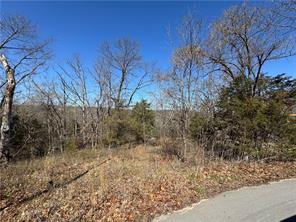 .31 acre wooded lot in culdesac.  Located close to trails, Loch Lomond, Scottsdale Golf Course.  Seller prefers to sell this lot along with the house currently for sale at 4 Sable Lane, Bella Vista, AR  72715 (currently listed ML#1352792).