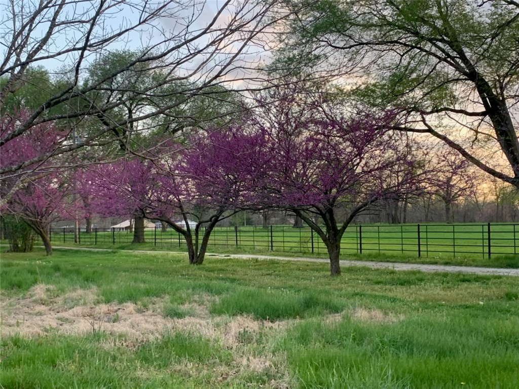 Beautiful level lot boasts 1.55 acres, must see this picturesque location to build your dream home.  Has the feel of a rural location but close to all the conveniences of Pea Ridge.  The house located on the lot has fire damage and has no value but large garage with metal roof is in good condition.  Perc test has been completed.