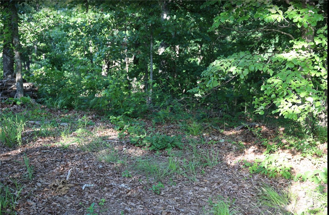 Looking for that lot in a quiet neighborhood close to all of Bella Vistas amenities? Here it is. This nicely wooded lot can be your spot to
build or allow you access to all of the great biking, golf and lakes that Bella Vista has to offer. Don't wait. Priced to sell.