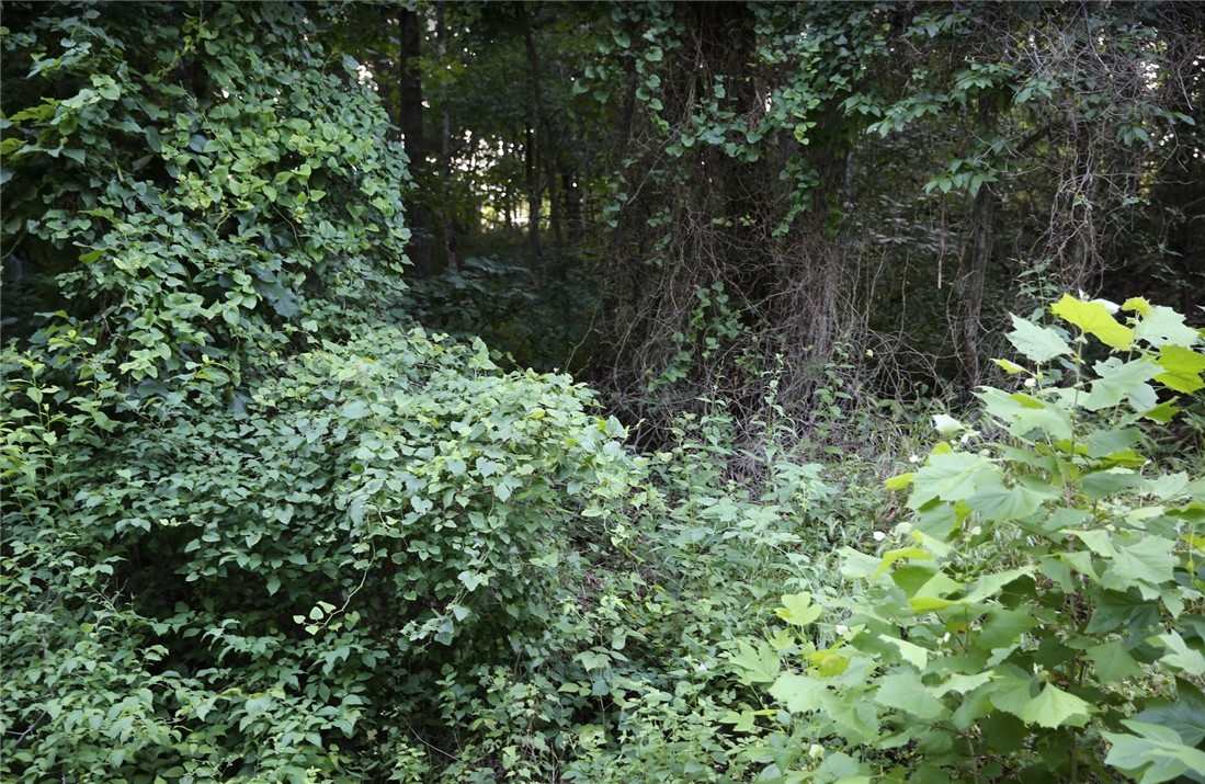 Essex Sub Bvv - Land