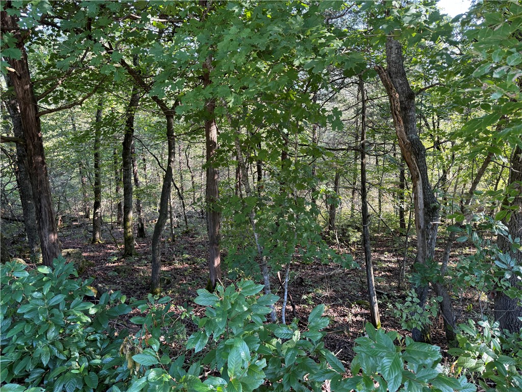 Unit 11 Holiday Island - Land