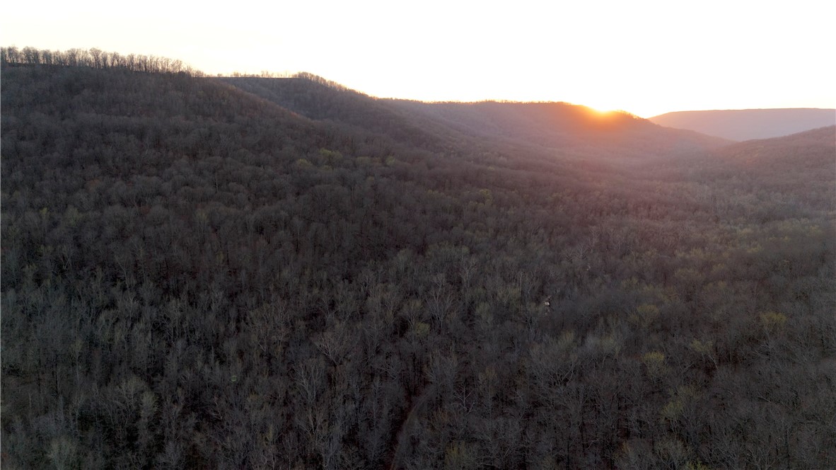 If you'd rather skip the country and head straight into the wild, this 40+/- acre tract is calling your name. Surrounded by thousands of acres of Ozark National Forest, it's a rare find with great access to outdoor adventure. Just a few miles away (as the crow flies), you'll find favorites like White Rock Mountain, Mill Creek OHV trails, Pig Trail Café, and more.

Frog Bayou runs along the north side—perfect for camping, relaxing, or cooling off by the water. Small waterfalls add that peaceful cascading sound. With surrounding National Forest, the property hunts big for its size, with tons of wildlife sign—deer, turkey, hogs, and even black bear. A wet-weather creek starts on the south end and feeds into Frog Bayou, drawing game year-round.

This is an opportunity for someone to own a true piece of wilderness. These places are becoming more & more rare. This property when combined with the adjoining public land has the size & capability to host large hunting camps and parties for years to come. Don't miss out!