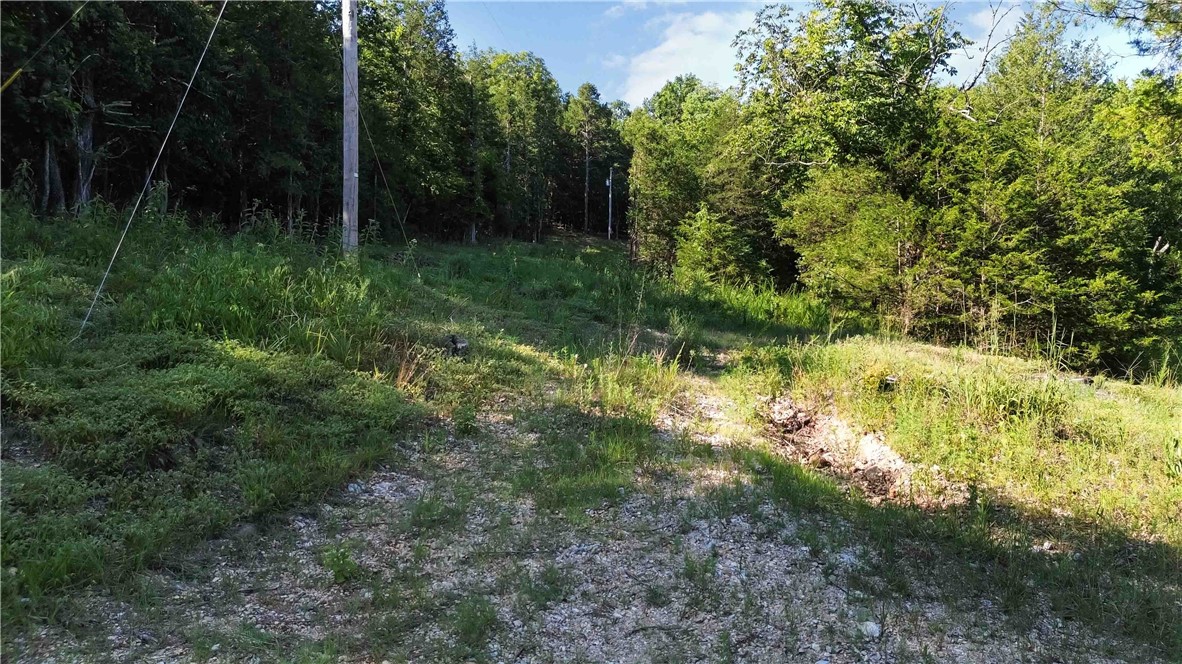 Don’t miss your chance to own your own piece of Ozark paradise.
36.80 Acres of Ozark Beauty – End-of-Road Privacy with Well & Survey
Discover 36.80 acres of breathtaking, surveyed land tucked away at the end of a quiet road—offering the privacy and peaceful setting you’ve been searching for. This stunning property features a well already in place and provides the perfect foundation to build your dream home, weekend retreat, or hunting getaway.
Located in the heart of the Ozark Mountains near Eureka Springs, this property is just minutes from the charming historic community of Beaver—home of the iconic Beaver Bridge.
Surrounded by natural beauty, you’ll enjoy mature hardwood trees, peaceful cedar glades, and scenic mountain views. With close proximity to Mark Twain National Forest, outdoor adventures like hiking, fishing, and exploring are right at your doorstep.
Whether you're dreaming of a private estate, a serene getaway, or an investment in land, this rare property offers endless possibilities.