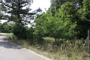 Stonegate Unit II - Land