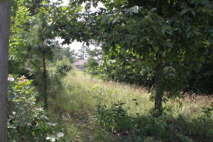 Stonegate Unit II - Land