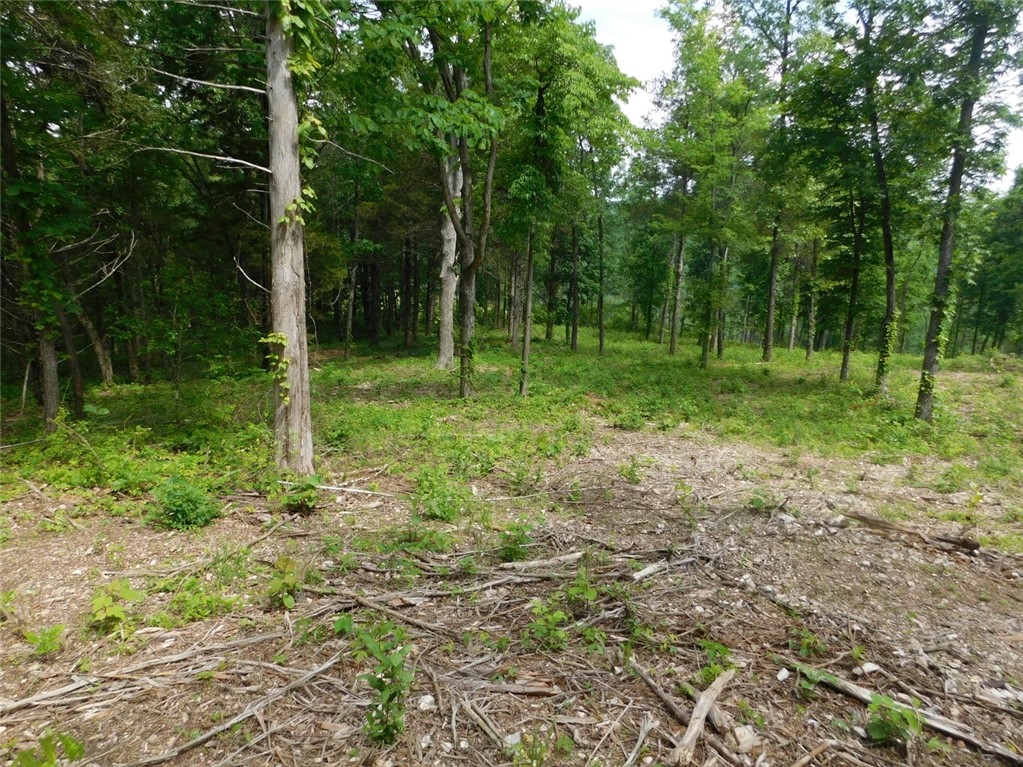 0 - Land