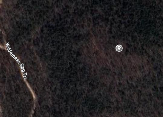 78.93 Acres of wooded land with Malden creek frontage.  The land is steep, but has a level spot on top of the hill.  No utilities available and no restrictions.  Would make a good hunting property.