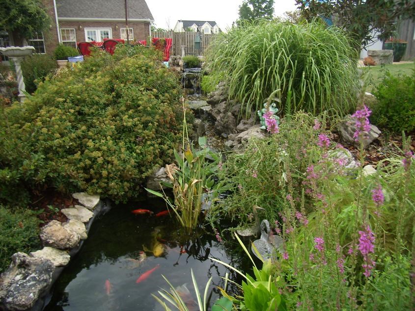 West Ridge Estates - Residential