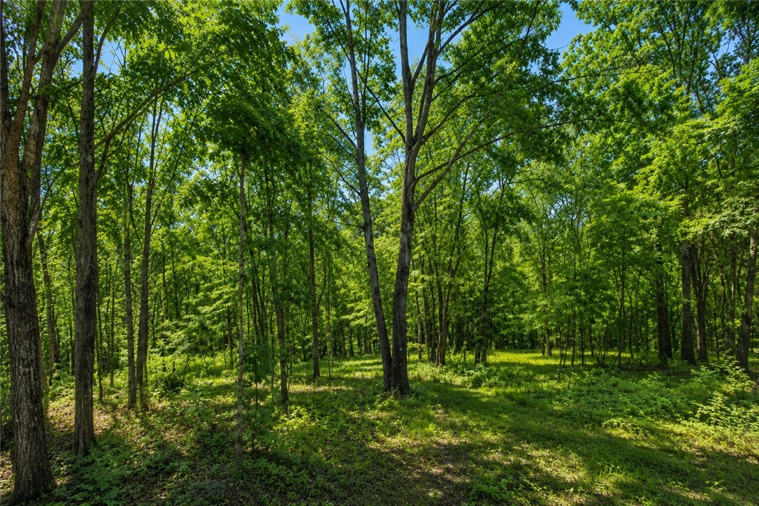 Build your dream home on this beautiful homesite in Bella Vista’s sought-after Highlands community! Conveniently located just 3 miles from I-49, this property offers a peaceful setting with easy access to everyday conveniences. Approximately 600 feet from Lake Loch Lomond, Bella Vista’s largest lake, and just minutes from Highlands Golf & Pub, Branchwood Recreation Center, Tiree Park, nature trails, fitness center, indoor pool, pickleball, disc golf, and more. Enjoy all the incredible amenities Bella Vista has to offer while creating your custom home in one of its most desirable neighborhoods.