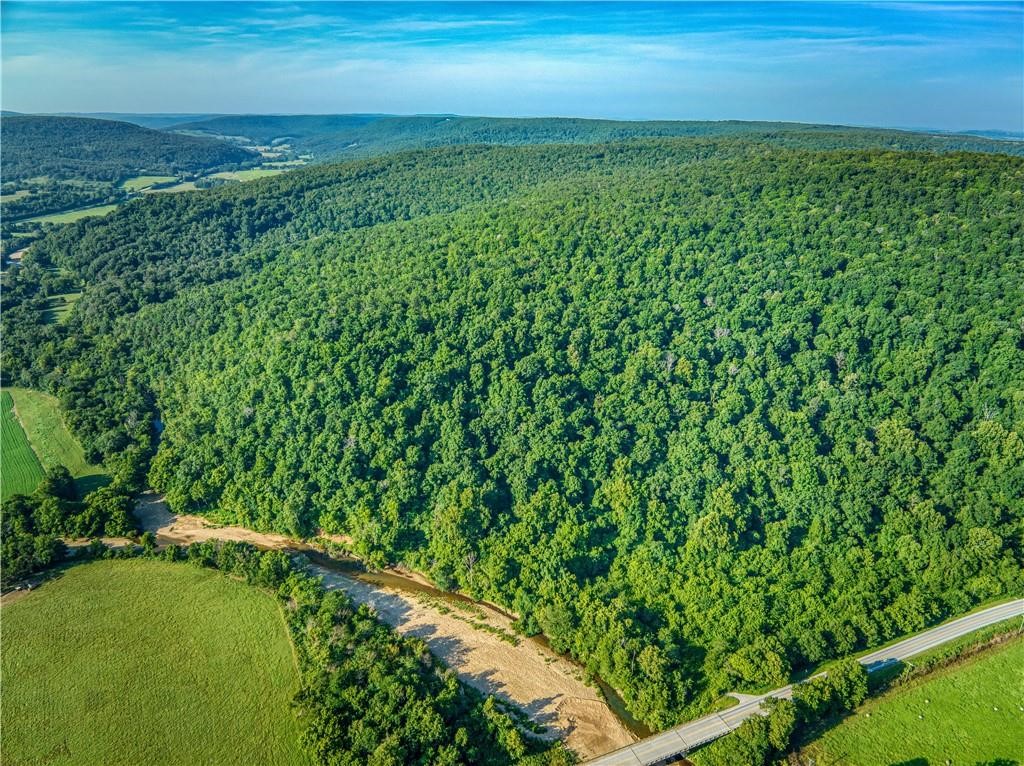 76 acres with Osage Creek Frontage - Don't miss this incredible opportunity to own 76 acres located right on Hwy 412, just West of Osage, AR.  This property offers 76 acres of wooded land featuring marketable timber, making it ideal for investment, recreation, or a private retreat. Enjoy the serene setting with Osage Creek along the East property line,providing water features perfect for wildlife and outdoor enthusiast.  This land is prime hunting property with abundant wildlife and convenient highway access. Located in Alpena School District, this property is only 15 minutes to Alpena, AR and just 20 minutes to WalMart on Hwy 412in Huntsville, AR -