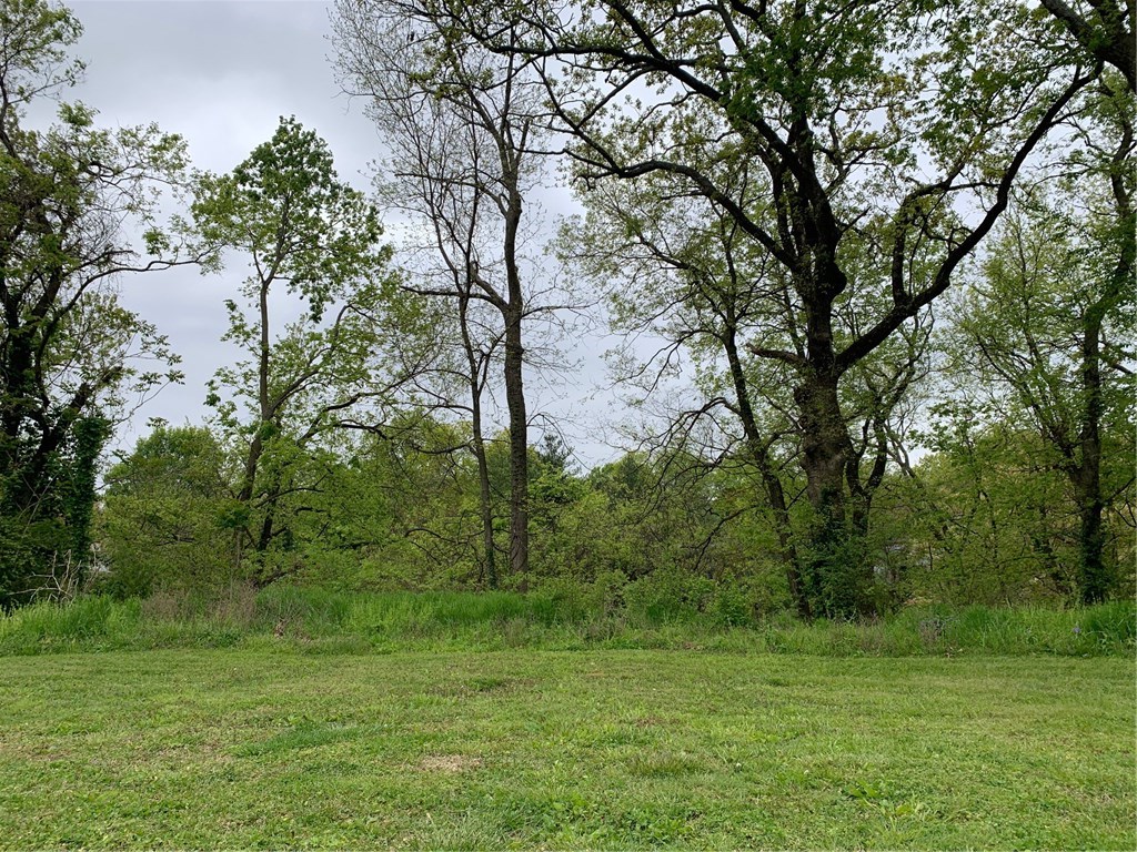 This half acre lot is a rare find on one of the most popular blocks in Siloam Springs. Located on a beautiful street with a mix of new and historic homes, this lot tucks away from passers-by and overlooks a wet weather creek running well below the building site. Build to suit, or with an accepted offer your purchase could include a unique home plan specifically designed for this property by architect Mathhias J. Pearson.The property has beautiful woods and lovely views. If you are looking to build in town, don't miss this opportunity.
