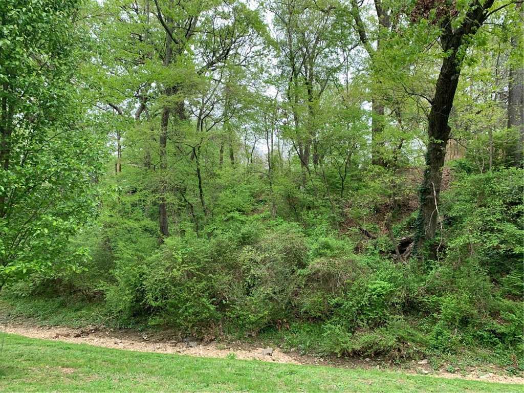 Carls Add Siloam Spgs - Land