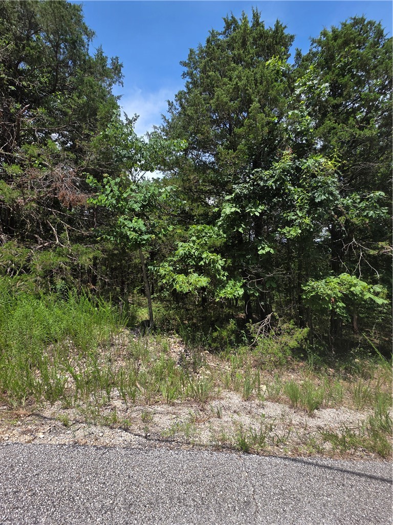 Unit 6 Holiday Island - Land