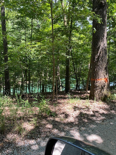 LAKEFRONT!! Time to build you forever or vacation home with this 1-+ ac. corner lakefront lot at the end of a cove.  Topo shows 60 ft. drop from road frontage to water's edge, so definitely build-able, with house oriented in either direction.  Gradual drop to water.  Hardwoods on the lot, but not too thick. Well maintained roads to property with neighbors in the area.