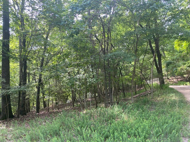 Oak Ridge Park Ph II - Land