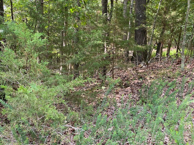 Oak Ridge Park Ph II - Land