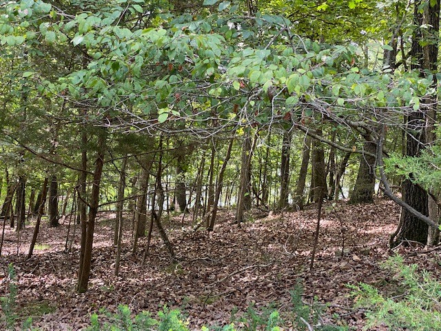 Oak Ridge Park Ph II - Land