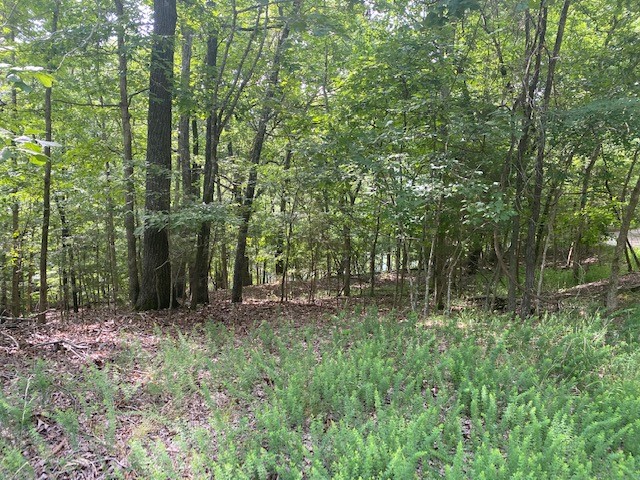 Oak Ridge Park Ph II - Land