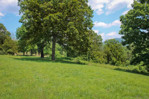 Buffalo River Estates - Residential