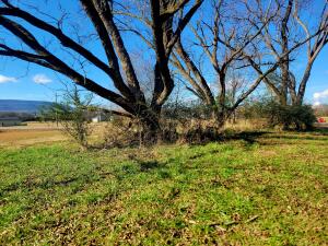 Treaty Creek Estates - Land