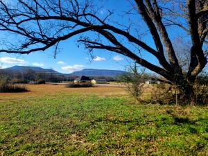 Treaty Creek Estates - Land