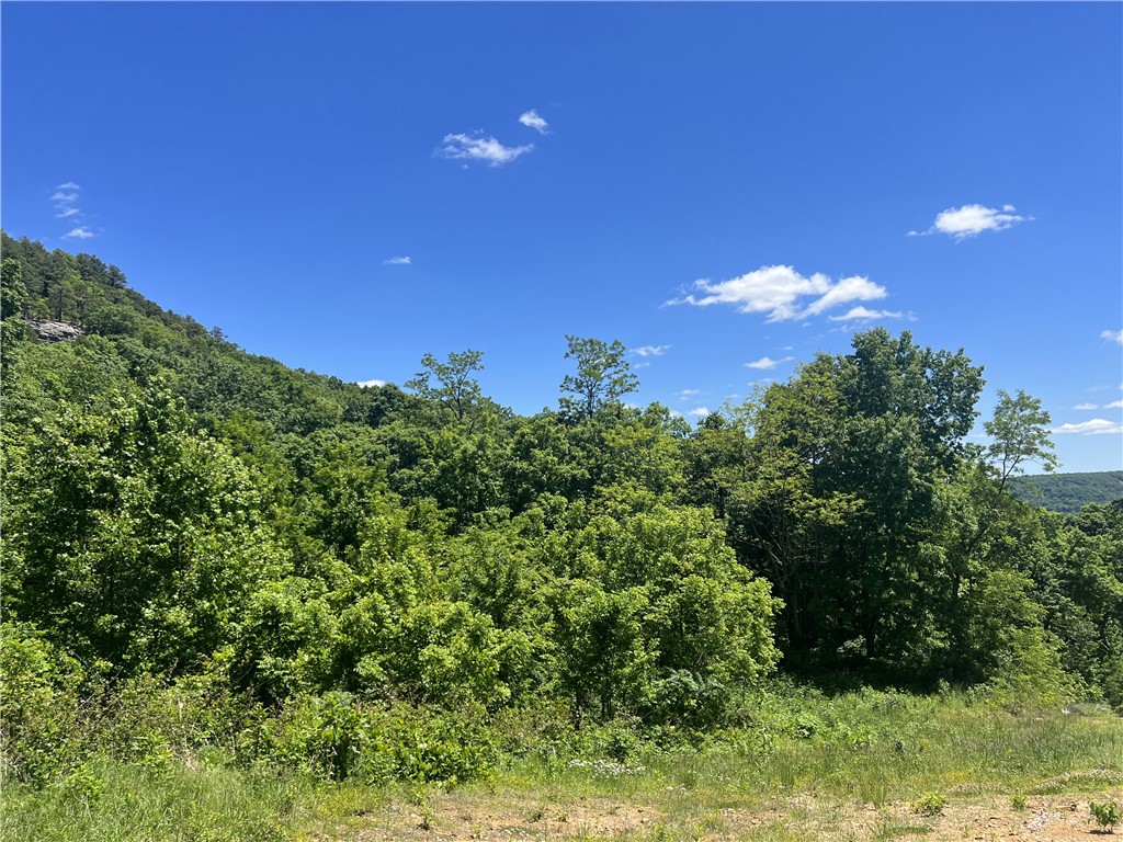 Ozark Mountain View!! The property features a building site with lots of hardwood trees, small pond, seasonal creek, rock bluff view and boulders, NO restrictions, and has 32.10 Acres M/L. Call today to schedule a showing.