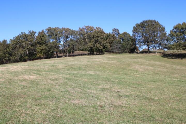 This transaction was between relatives - sold price does not reflect market value.  Pasture land with views and scattered trees. Nice land approximately 1/2 mile off Hwy 62,  approximately 20 acres used for hay, balance pasture, 2 ponds, scattered trees, pretty views and homesites. Vacant land, no buildings on the property.
