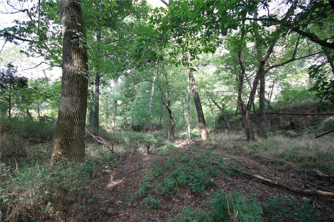 NA - Land