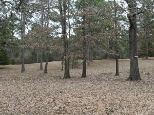 Don't pass up this opportunity to build your dream home just steps from the Arkansas River. Beautiful community basking in abundant wildlife and nature!