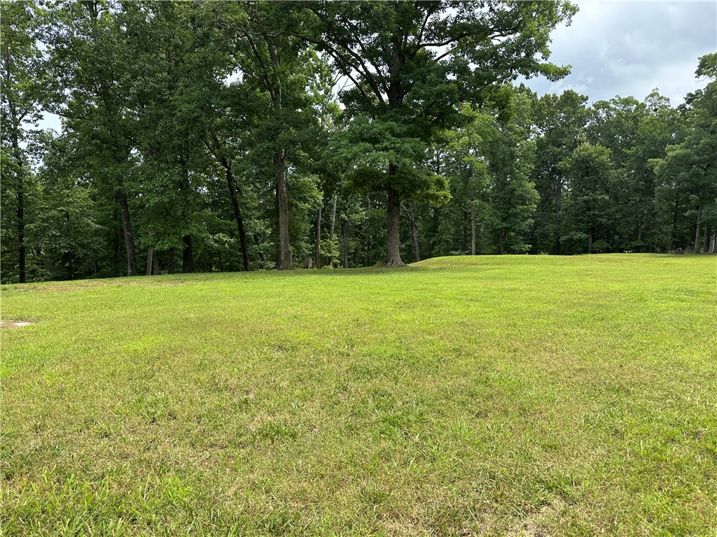 If you're looking for Beaver Lake area acreage with excellent level building spots, here it is! It's rare to find this combination of lush grassy meadows as well as majestic mature trees on a paved road, with multiple possible home sites. This tract consists of 3 platted lots, so could easily be divided again if you don't need to keep all the acreage. Strategically located near Big Clifty Park and boat launch. Call today to see it for yourself!
