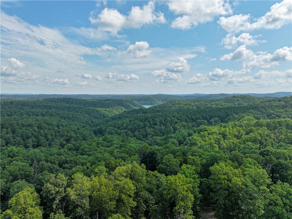 Neadum Ridge Estates - Land