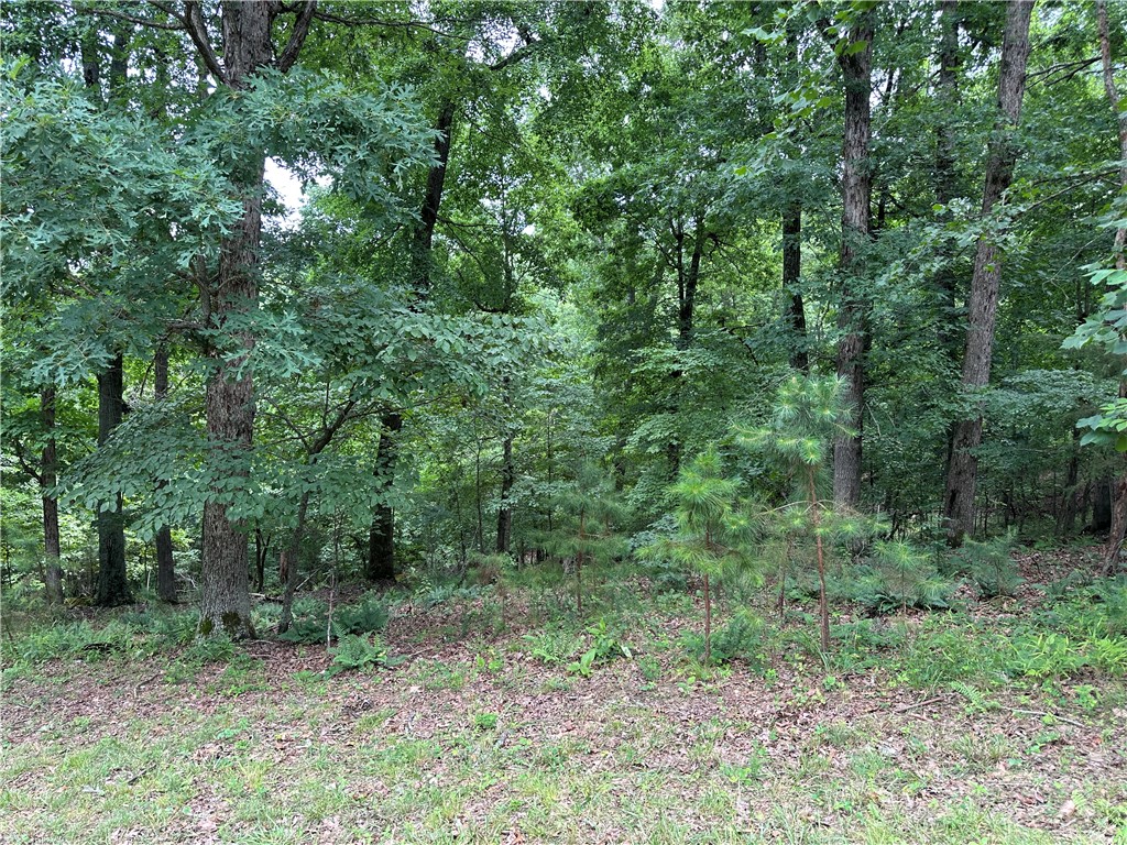 Neadum Ridge Estates - Land
