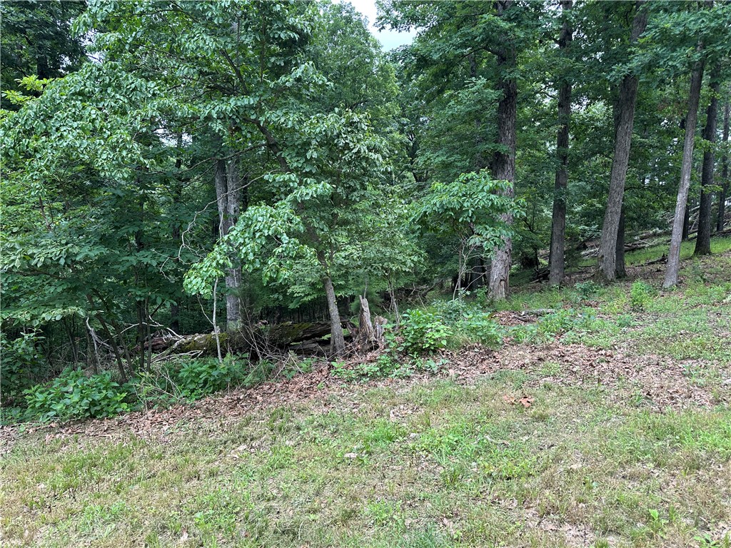 Neadum Ridge Estates - Land