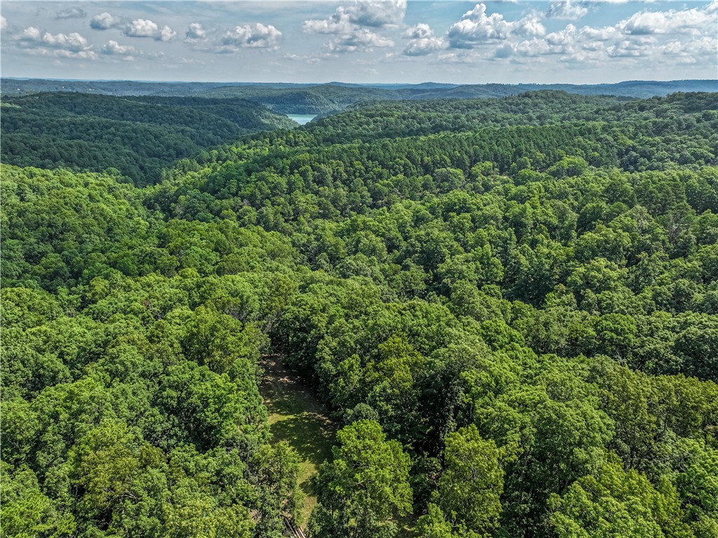 Neadum Ridge Estates - Land