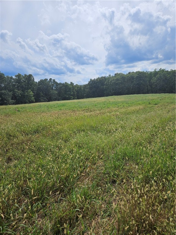 Just in time for huntin season! Great location and huge opportunity with this property. Located on Hwy 295 at Japton this 76.76 acres is partially cleared. It has 3 well established fields with hardwood timber in between them that is perfect for wildlife. Farm it, hunt it, build your dream home on it or divide it, this property allows you to do anything you want. Several great building spots and utilities on site. Two ponds on the property for livestock and wildlife. No restrictions and no easements across it. You really need to see this property to appreciate what an opportunity this is to own a piece of land that will do nothing but increase in value. Not many places have this perfect of a mix of open fields and forest that are ready to go on day 1.