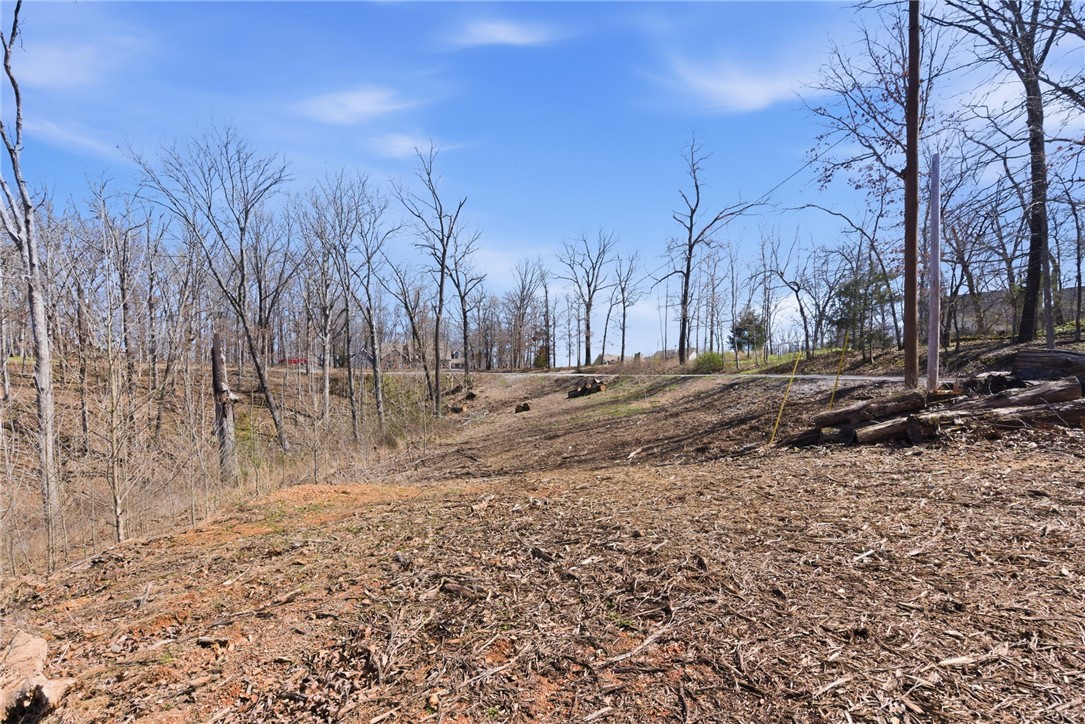 Plentywood Farms West Unit 2 Rurban - Land