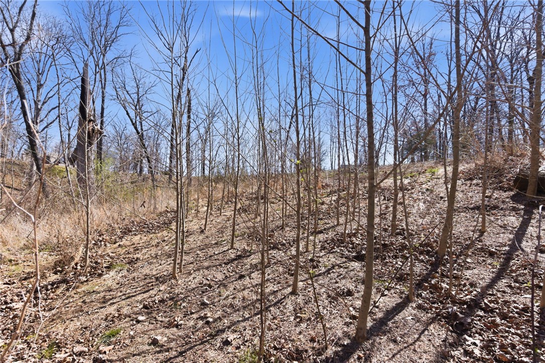 Plentywood Farms West Unit 2 Rurban - Land