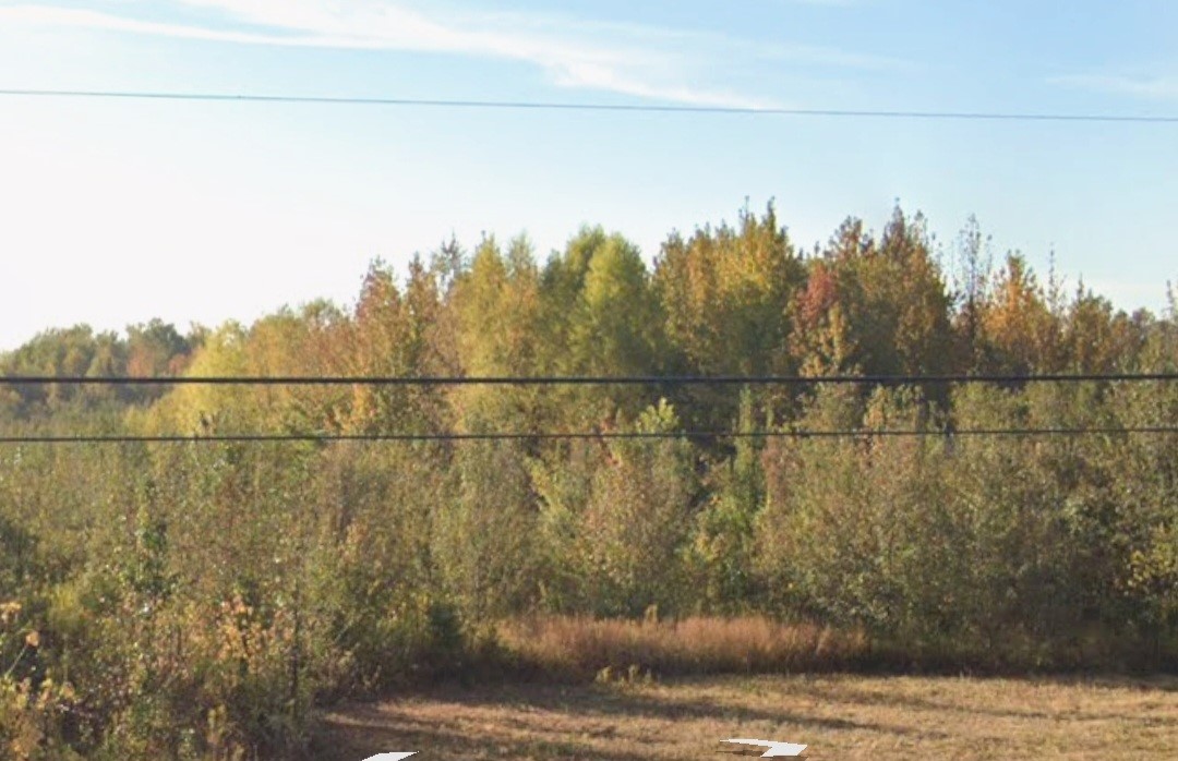 Alma Acreage - Land
