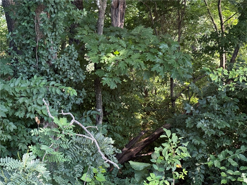 Unit 8 Holiday Island - Land