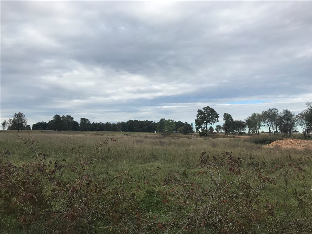 Tontitown Outlots - Land