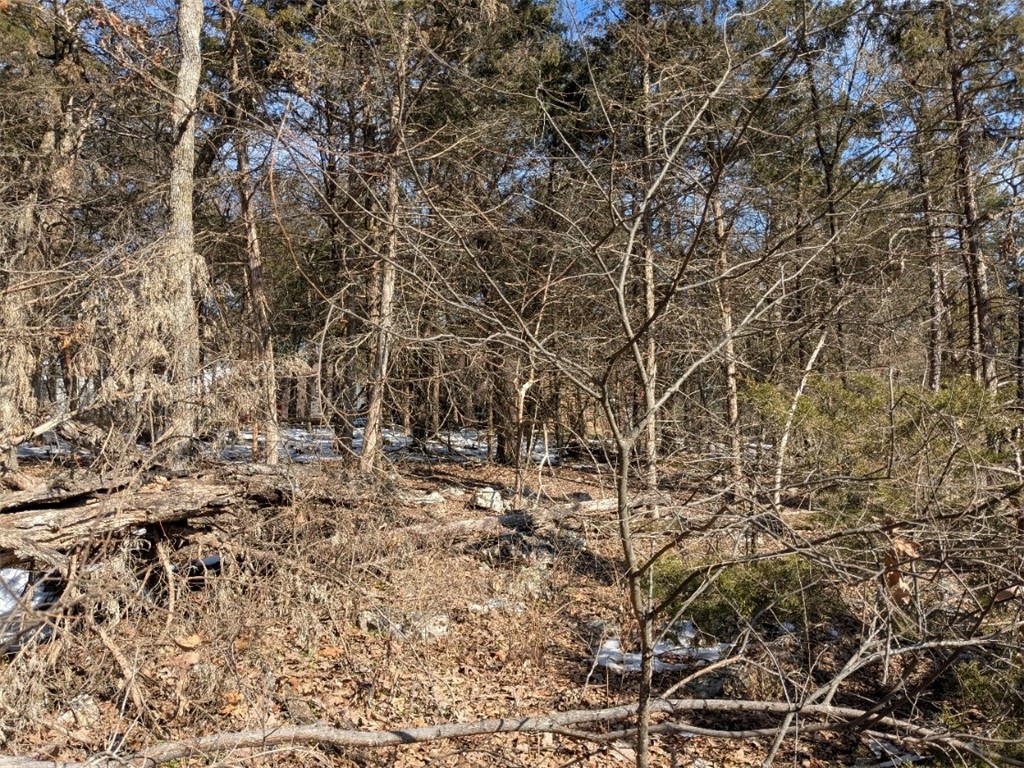 Unit 9 Holiday Island - Land