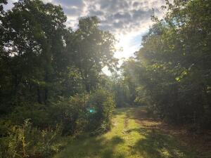 A secluded Hunter's Haven OR your new Home Place!This property delivers over 26 serene acres with county road frontage, perfect to hunt/camp on or for your private getaway. Features include a large dug pond, several outbuildings with various sleeping and storage areas, castle-like  dwelling, garden areas, and an array of solar panels, 735' well and septic system.  Documentation on well, septic, earthwork, buildings and other improvements provided upon request.
