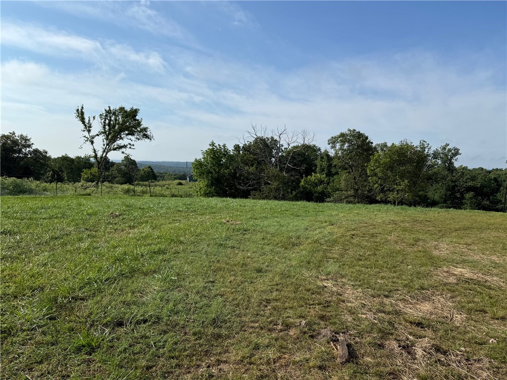 Come and enjoy the views of blue sky , 18.22 acres m/l with Pasture and some woods. Great place for your home, farm and garden.  Has 30x50 barn , 20x30 bldg. , old chicken house with hay (it stays). electricity on the property, existing well (800 ft) , needs septic. Natural gas runs on the north side of the property.
Must have a realtor accompany to see the property.  The road beside the home/shop is NOT an easement.  Future access will be on the north side(see arrow) off of Butler Rd.